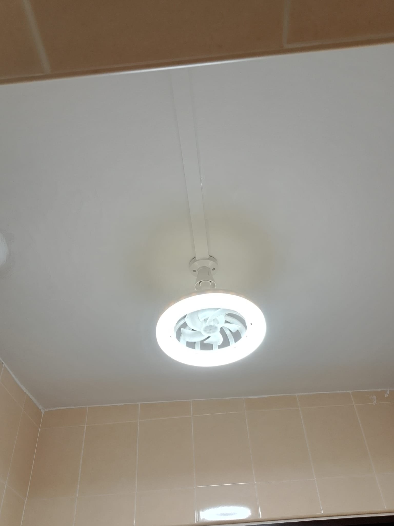 House painting after