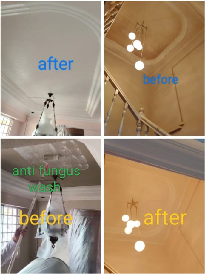 Custom Design & Install